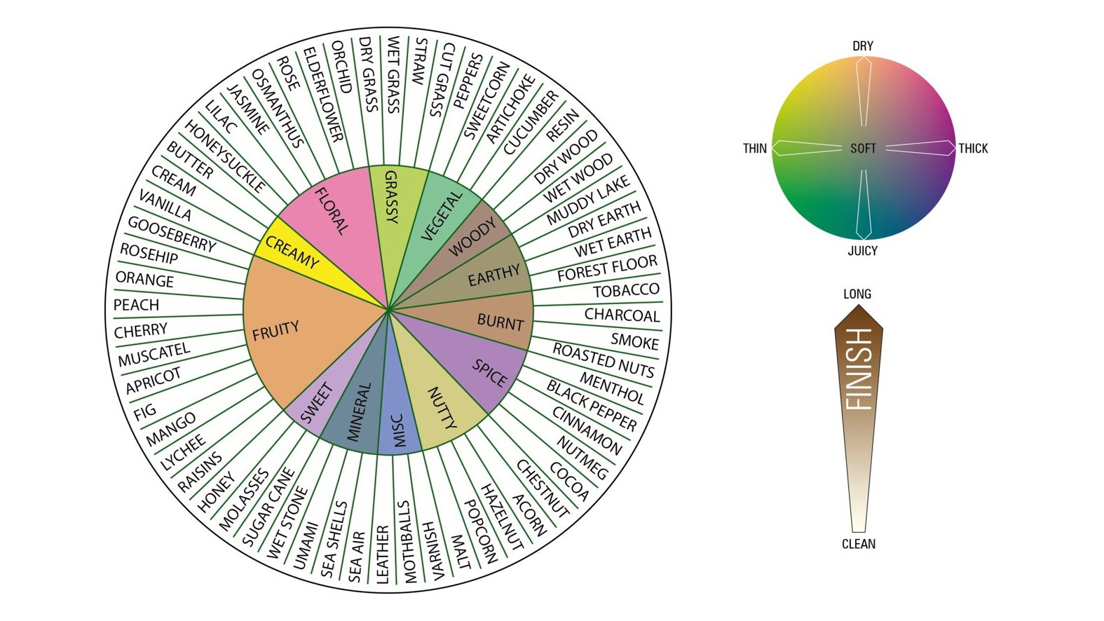 Flavor wheel